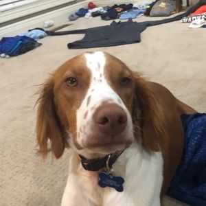 Meet your Posher, Reed